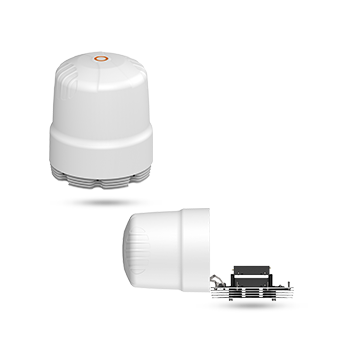 Poynting-Vertical-Catergory-Product-Ripple